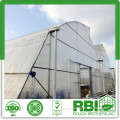 Hydroponics Greenhouse for lettuce